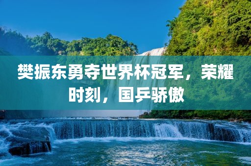 樊振东勇夺世界杯冠军，荣耀时刻，国乒骄傲