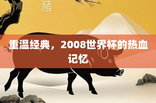 重温经典，2008世界杯的热血记忆