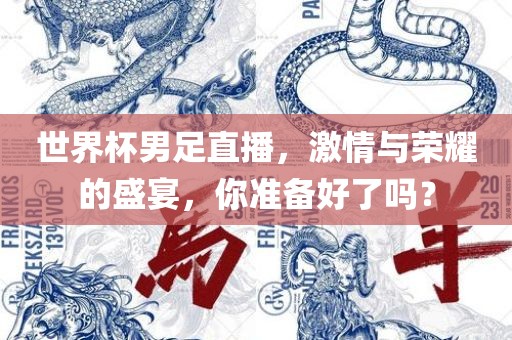 世界杯男足直播，激情与荣耀的盛宴，你准备好了吗？