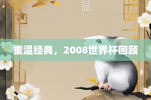 重温经典，2008世界杯回顾漯河市盈旭机械设备有限公司