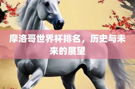 摩洛哥世界杯排名，历史与未来的展望