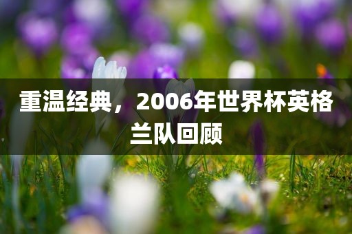 重温经典，2006年世界杯英格兰队回顾