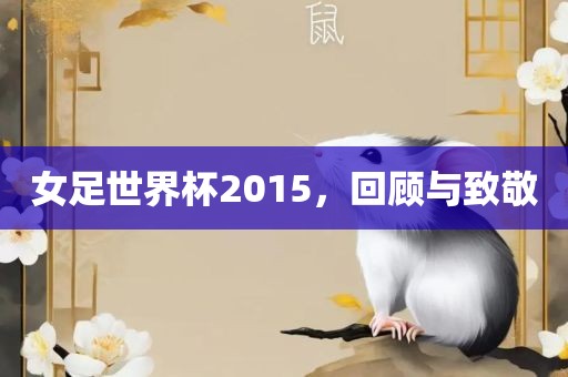 女足世界杯2015，回顾与致敬