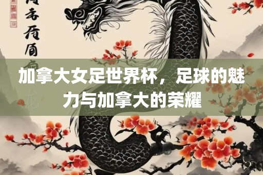 加拿大女足世界杯，足球的魅力与加拿大的荣耀