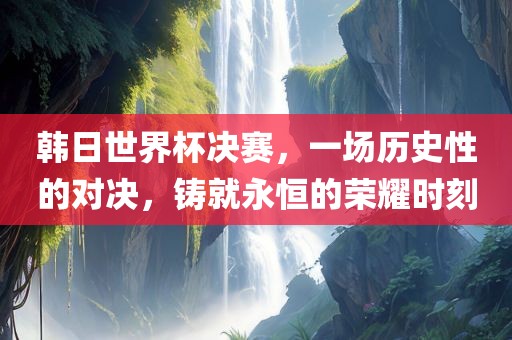 韩日世界杯决赛，一场历史性的对决，铸就永恒的荣耀时刻