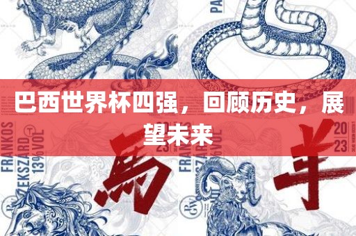 巴西世界杯四强，回顾历史，展望未漯河市盈旭机械设备有限公司来