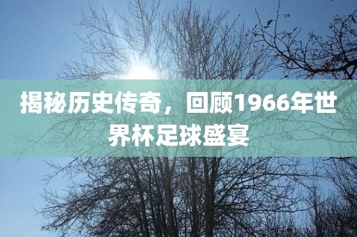 揭秘历史传奇，回顾1966年世界杯足球盛宴