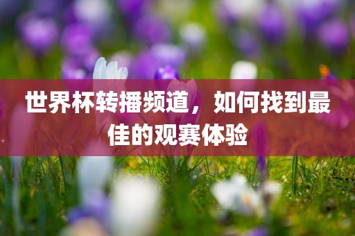 世界杯转播频道，如何找到最佳的观赛体验漯河市盈旭机械设备有限公司