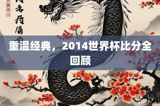 重温经典，2014世界杯比分全回顾