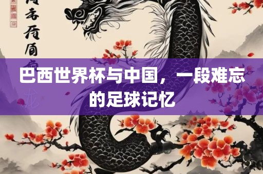 巴西世界杯与中国，一段难忘的足球记忆