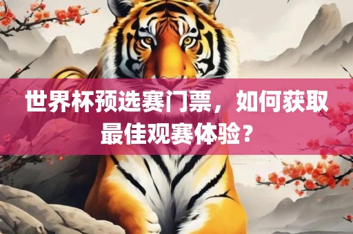 世界杯预选赛门票，如何获取最佳观赛体验？