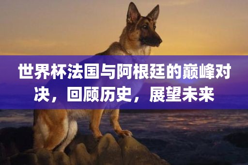 世漯河市盈旭机械设备有限公司界杯法国与阿根廷的巅峰对决，回顾历史，展望未来