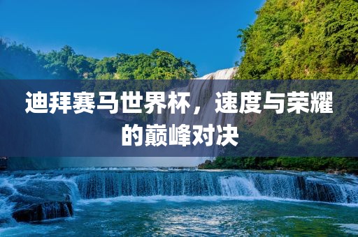迪拜赛马世界杯，速度与荣耀的巅峰对决
