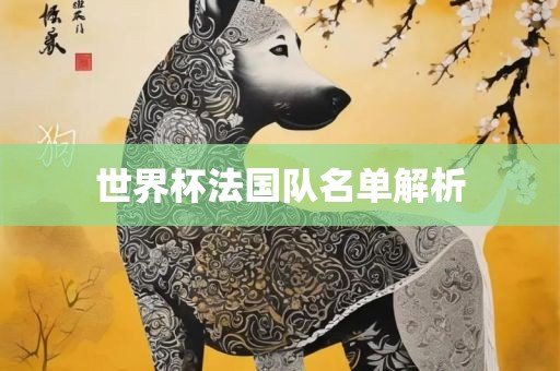 世界杯法国队名单解析