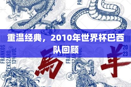 重温经典，2010年世界杯巴西队回顾漯河市盈旭机械设备有限公司