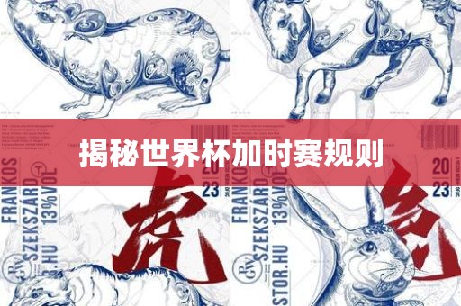 揭秘世界杯加时赛规则漯河市盈旭机械设备有限公司