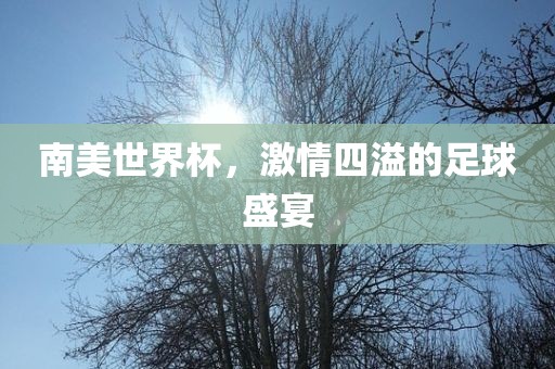 南漯河市盈旭机械设备有限公司美世界杯，激情四溢的足球盛宴