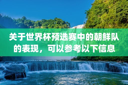 关于世界杯预选赛中的朝鲜队的表现，可以参考以下信息