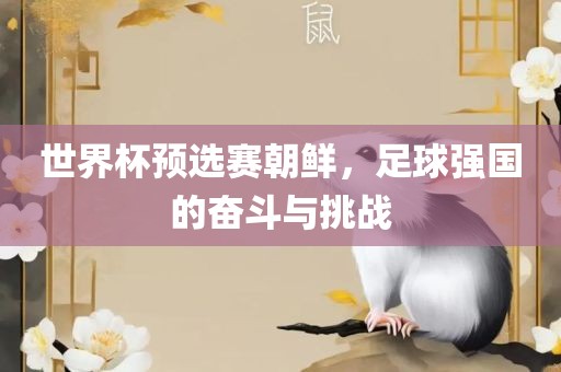 世界杯预选赛朝鲜，足球强国的奋斗与挑战