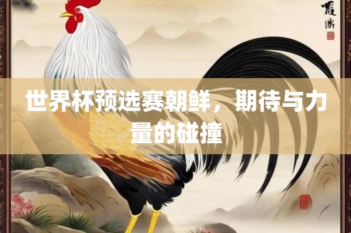 世界杯预选赛朝鲜，期待与力量的碰撞