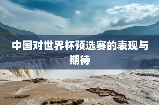 中国对世界杯预选赛的表现与期待漯河市盈旭机械设备有限公司