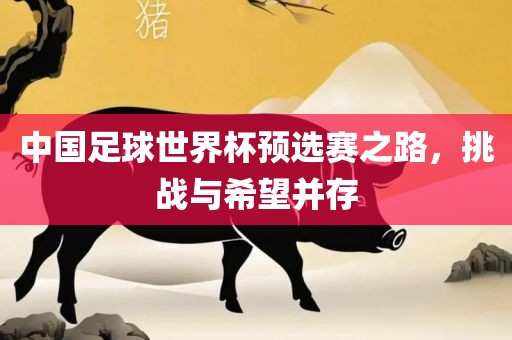 中国足球世界杯预选赛之路，挑战与希望并存