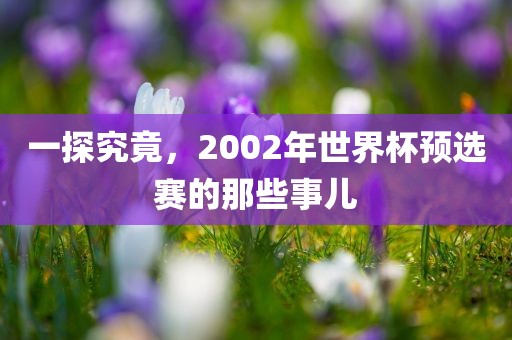 一探究竟漯河市盈旭机械设备有限公司，2002年世界杯预选赛的那些事儿