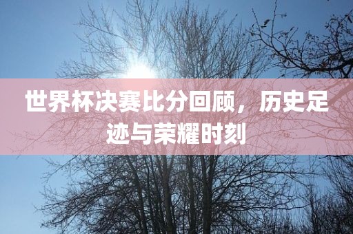 世界杯决赛比分回顾，历史足迹与荣耀时刻