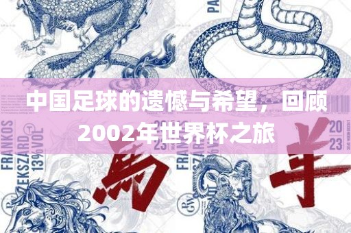 中国足球的遗憾与希望，回顾2002年世界杯之旅