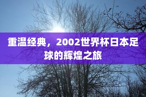 重温经典，2002世界杯日本足球的辉煌之旅