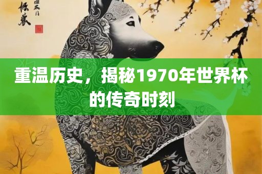 重温历史，揭秘1970年世界杯的传奇时刻