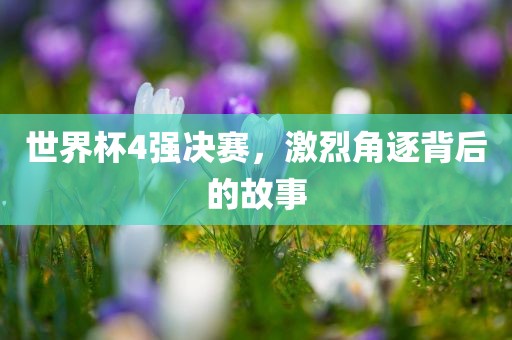 世界杯4强决赛，激烈角逐背后的故事