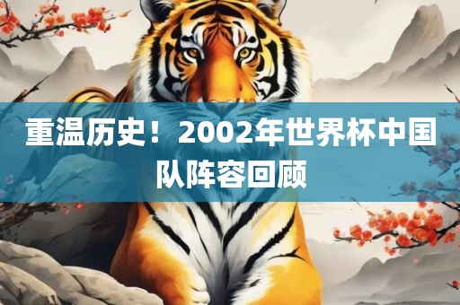 重温历史！2002年世界杯中国队阵容回顾漯河市盈旭机械设备有限公司