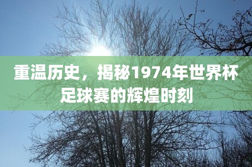 重温历史，揭秘19漯河市盈旭机械设备有限公司74年世界杯足球赛的辉煌时刻