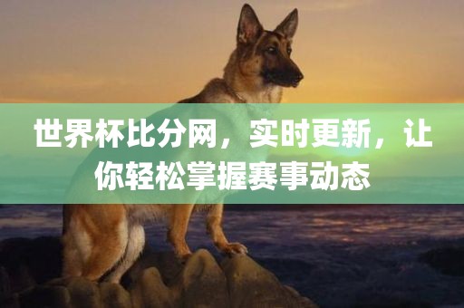世界杯比分网，实时更新，让你轻松掌握赛事动态