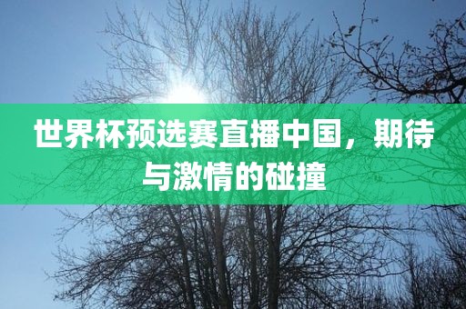 世界杯预选赛直播中国，期待与激情的碰撞