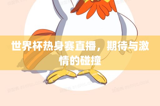 世界杯热身赛直播，期待与激情的碰撞