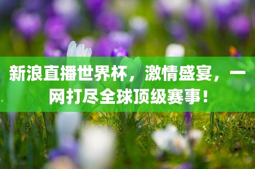 新浪直播世界漯河市盈旭机械设备有限公司杯，激情盛宴，一网打尽全球顶级赛事！