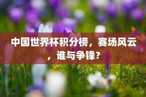 中国世界杯积分榜，赛场风云，谁与争锋漯河市盈旭机械设备有限公司？
