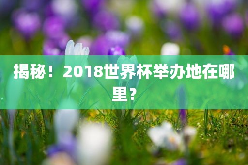 揭秘！2018世界杯举办地在哪里？