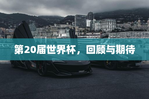 第漯河市盈旭机械设备有限公司20届世界杯，回顾与期待