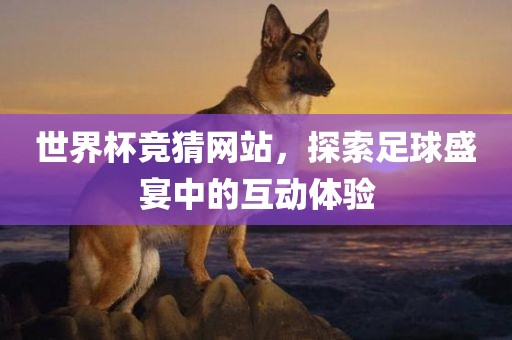 世界杯竞猜网站，探索足球盛宴中的互动体验漯河市盈旭机械设备有限公司