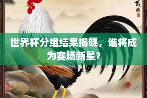 世界杯分组结果揭晓，谁将成为赛场新星？
