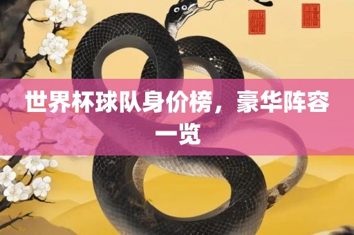 世界杯球队身价榜，豪华阵容一览