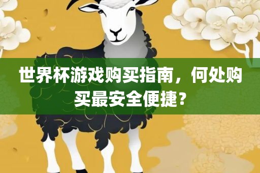 世界杯游戏购买指南，何处购买最安全便捷？
