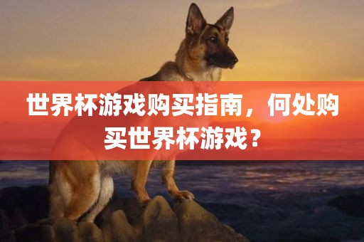 世界杯游戏购买指南，何处购买世界杯游戏？
