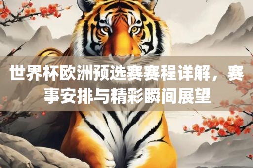 世界杯欧洲预选赛赛程详解，赛事安排与精彩瞬间展望