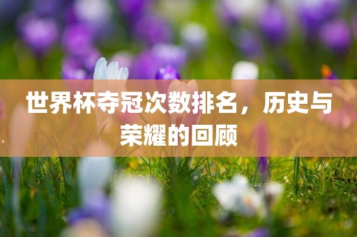 世界杯夺冠次数排名，历史与荣耀的回顾