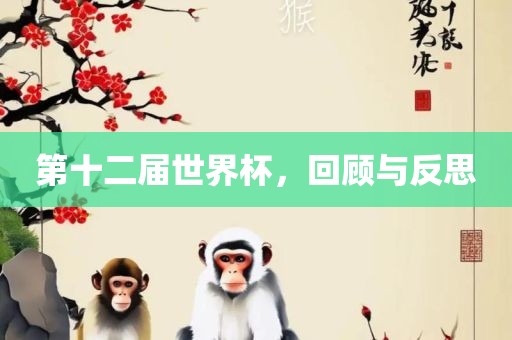 第十二届世界杯，回顾与反思
