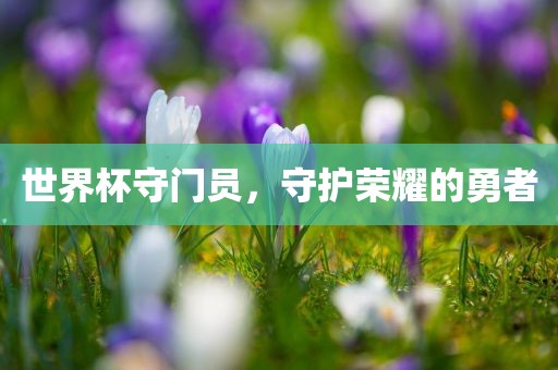 世界杯守门员，守护荣耀的勇者